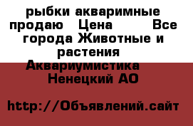 рыбки акваримные продаю › Цена ­ 30 - Все города Животные и растения » Аквариумистика   . Ненецкий АО